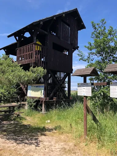 Rezerwat przyrody Ptasi Raj